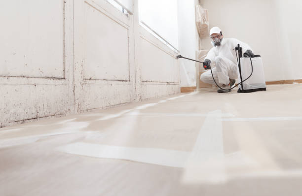 24/7 Emergency Attic Mold Remediation experts in Courtland, VA